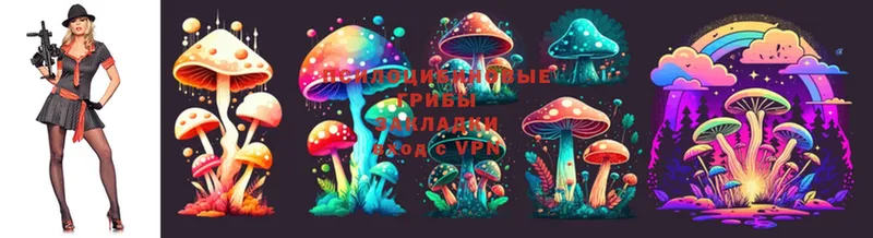 Галлюциногенные грибы Psilocybine cubensis Улан-Удэ